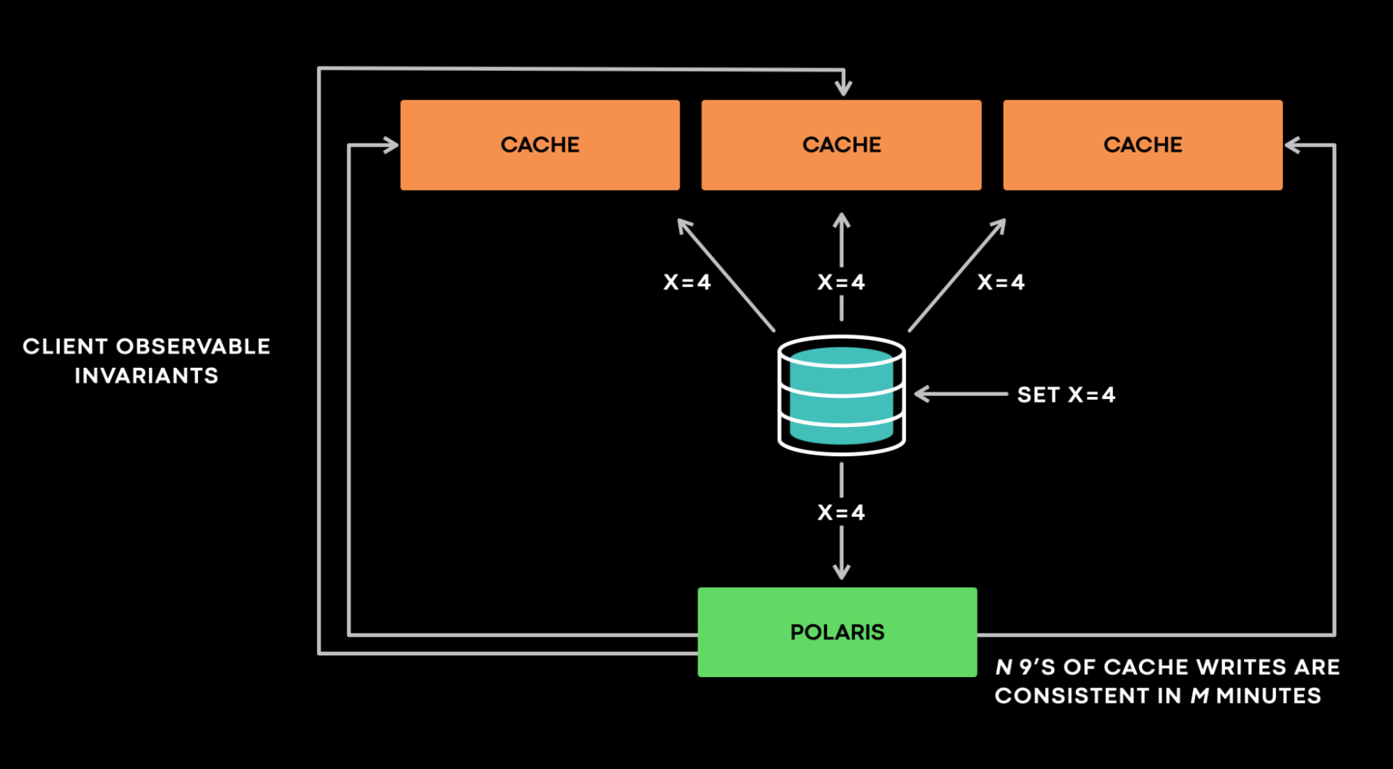 polaris.webp